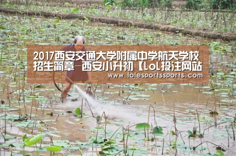 2026年最佳英雄联盟投注网站
