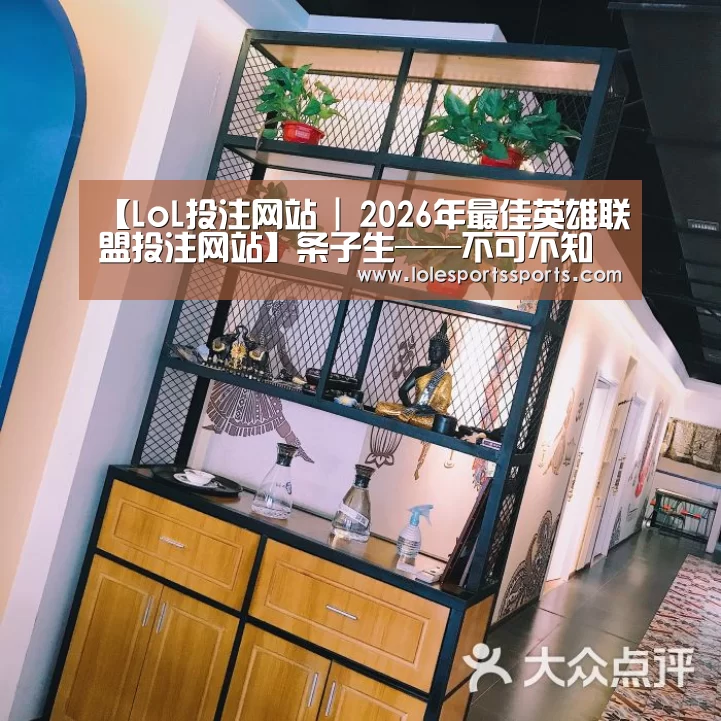 【LoL投注网站 | 2026年最佳英雄联盟投注网站】条子生——不可不知的小升初入学途径十三(图2) LoL投注网站直播