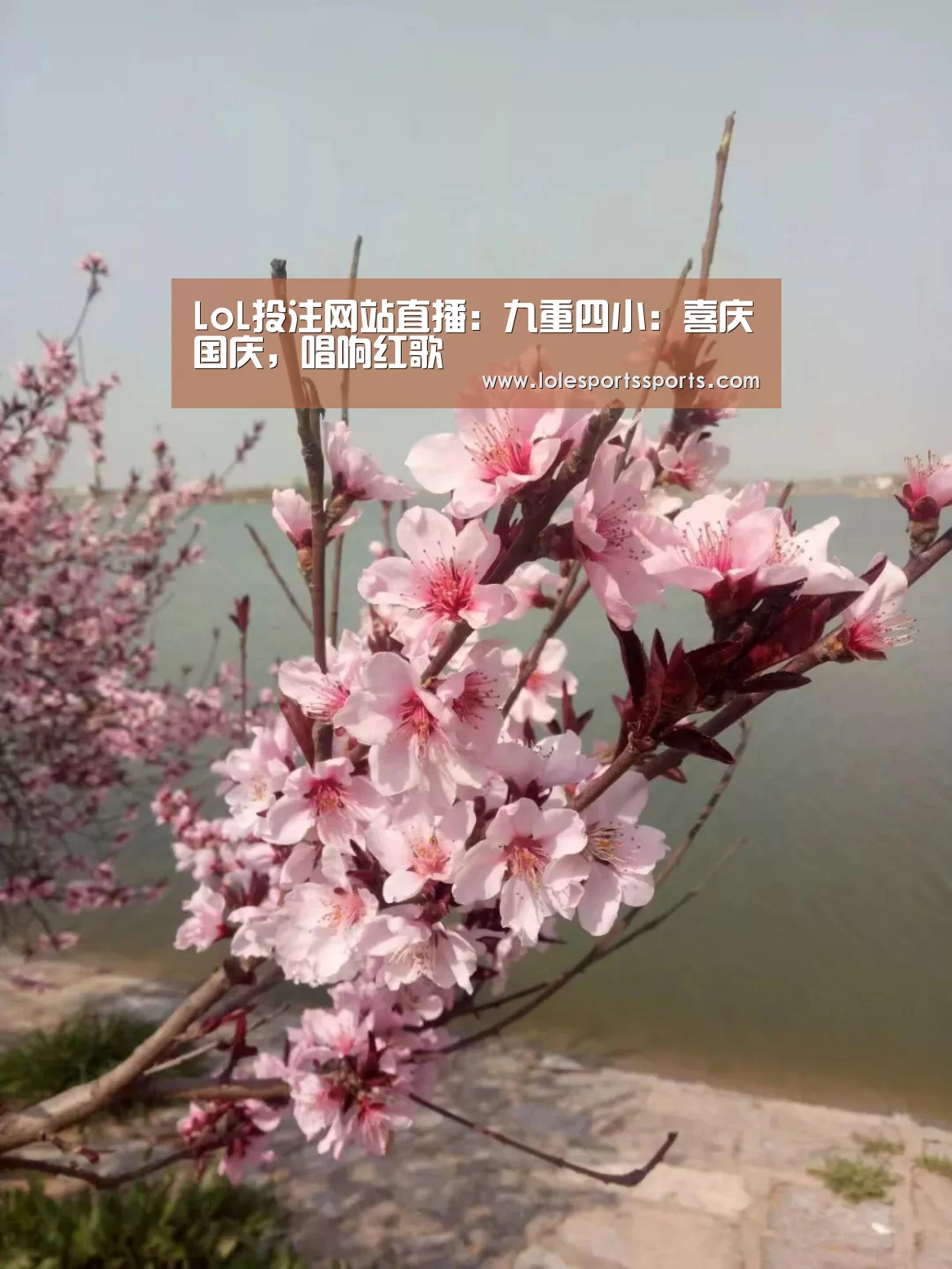 LoL投注网站直播:九重四小:喜庆国庆,唱响红歌(图1) LoL投注网站直播